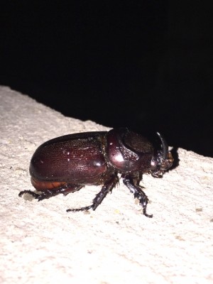 image.jpeg (471.52 KiB) 2953 keer bekeken image.jpeg