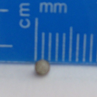 ei.JPG (134.96 KiB) 1732 keer bekeken eitje pachnoda marginata peregrina