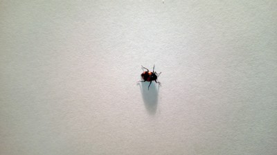 WP_20130503_010.jpg