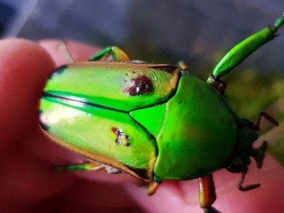 20180416_192456.jpg