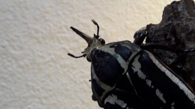 20191018_144505.jpg