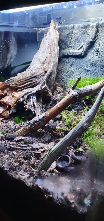 20210126_180645.jpg