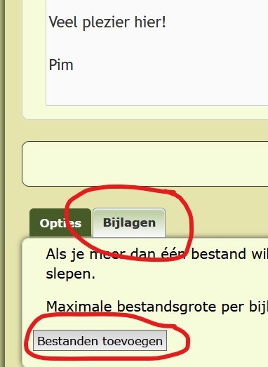 Bijlage knop.jpg