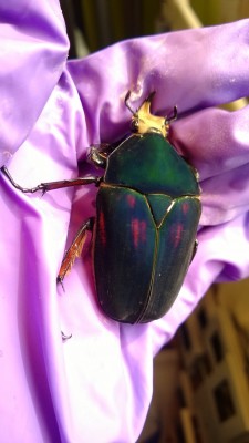 WP_20130901_011.jpg