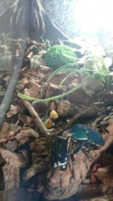 2a.jpg (20.71 KiB) 4044 keer bekeken Overzicht (zijkant) voor bodem doorzoeken