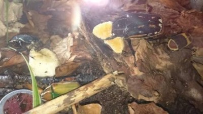 8a.jpg (23.21 KiB) 4044 keer bekeken Eethoekje