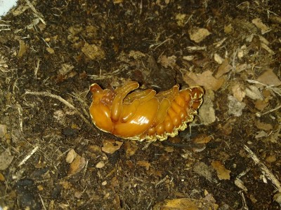 08052010842.jpg