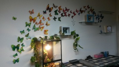 20160130_132424.jpg