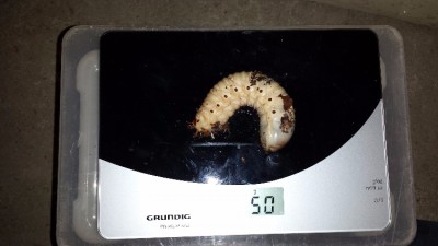 20161223_120043.jpg