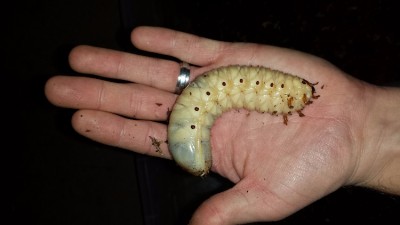 20161223_120053.jpg