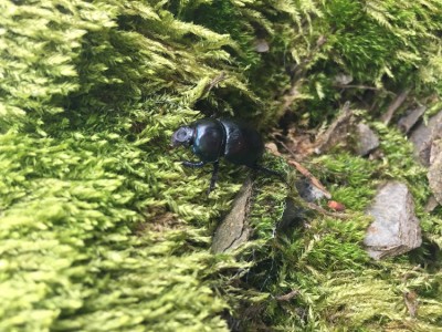 IMG_8535.JPG (270.13 KiB) 1853 keer bekeken IMG_8535.JPG