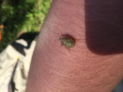 IMG_8608.JPG (165.12 KiB) 1851 keer bekeken IMG_8608.JPG