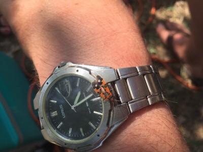 IMG_8782.JPG (159.13 KiB) 1851 keer bekeken IMG_8782.JPG