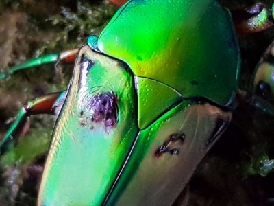 20180416_192508.jpg