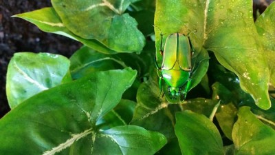 20180506_143844.jpg