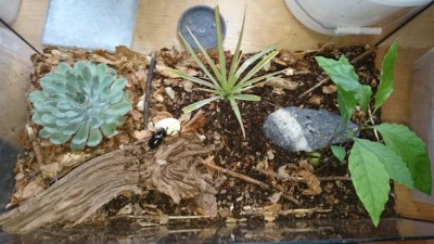 IMG-20180831-WA0014.jpeg
