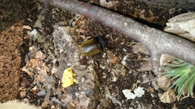 IMG-20180913-WA0033.jpeg