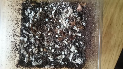 IMG-20181012-WA0007.jpeg