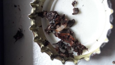 20190714_153356.jpg