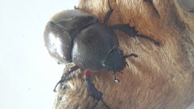 20191204_100515.jpg