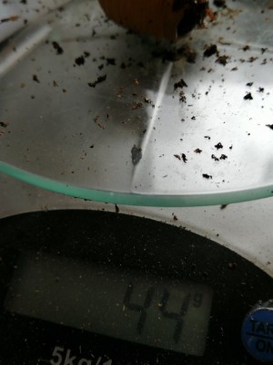 IMG_20200304_122430.jpg (83.16 KiB) 483 keer bekeken IMG_20200304_122430.jpg