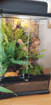 terrarium.gif