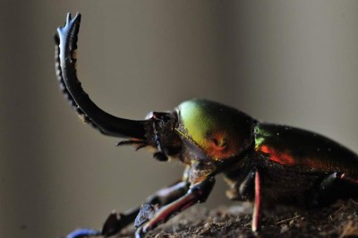 FB_IMG_1586177768619.jpg (37.3 KiB) 1018 keer bekeken FB_IMG_1586177768619.jpg