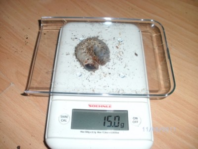 BILD0103.JPG