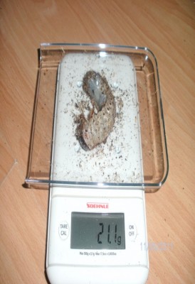 BILD0109.JPG
