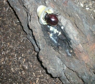 BILD0124.JPG