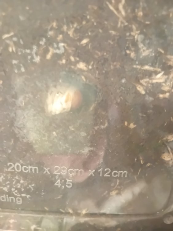 17383518887784306642212167755970.jpg