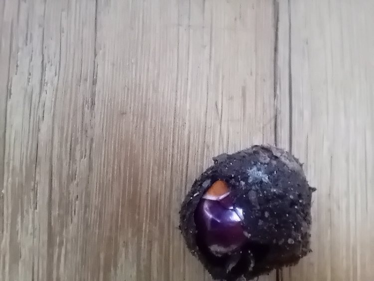 20250511_201403.jpg