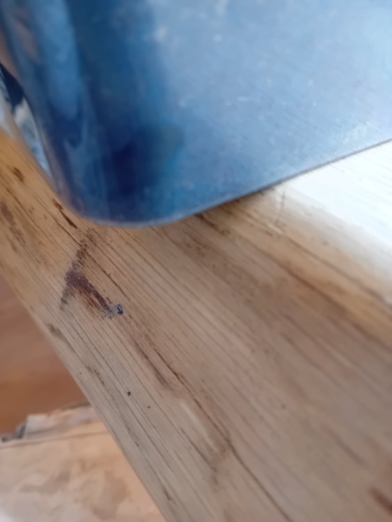 20250515_151413.jpg