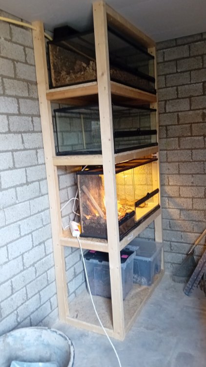 IMG-20250601-WA0018.jpeg