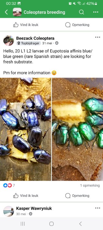 Screenshot_20250624_003212_Facebook.jpg