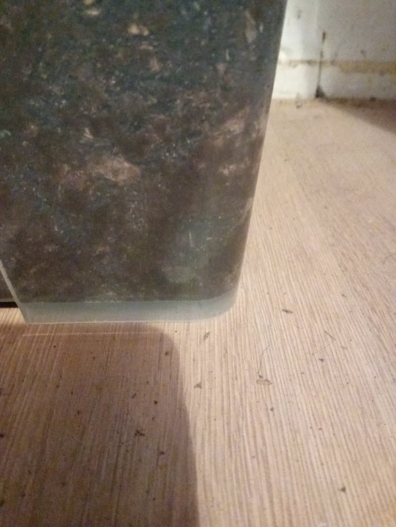 20250810_140054.jpg
