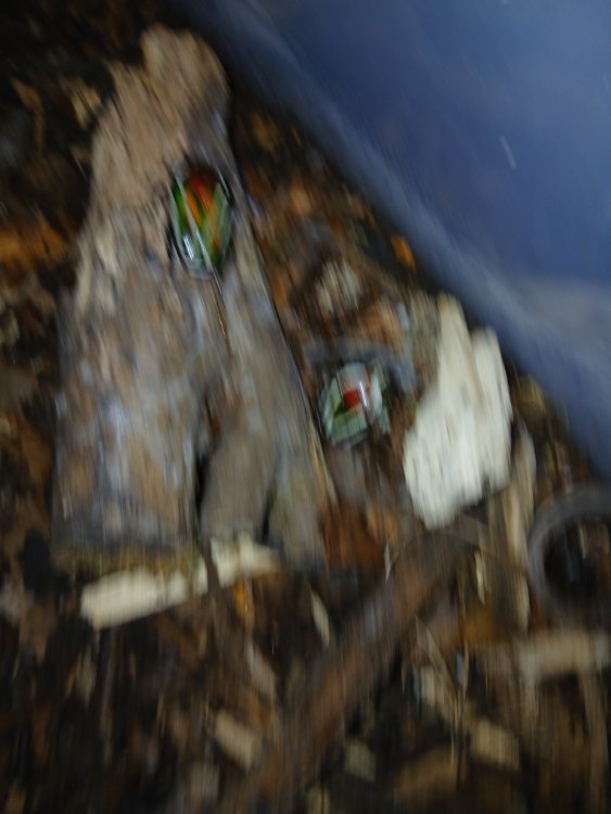 20250829_203539.jpg