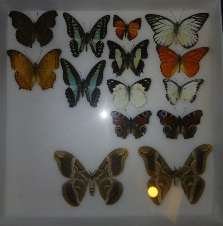 20250830_213428.jpg