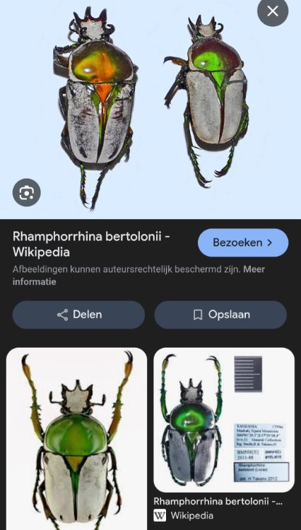 Screenshot_20250901_120315_Chrome.jpg