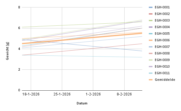 EGH grafiek 12-2-2026.png
