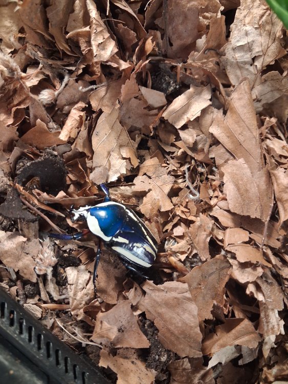 20260609_213316.jpg