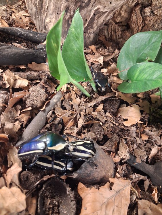 20260706_213746.jpg