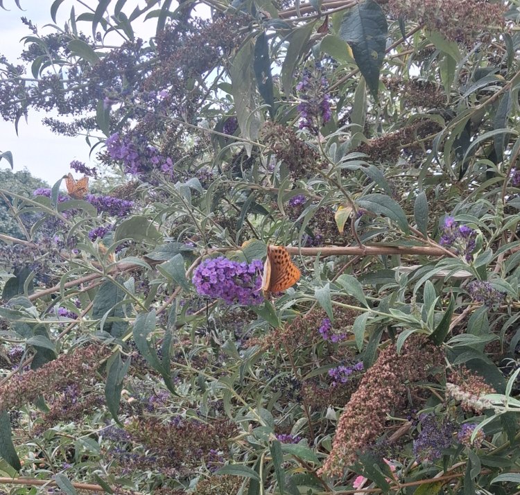 20260817_143031.jpg