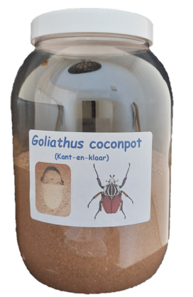 Coconpot Goliathus.png