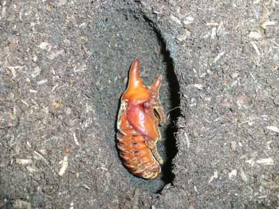 BILD0004.JPG