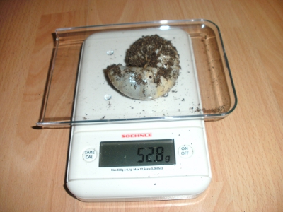BILD0016.JPG
