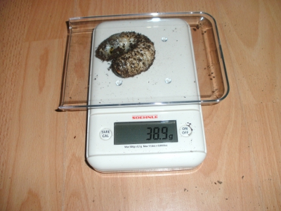 BILD0019.JPG