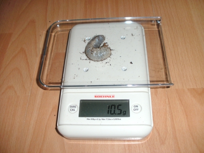 BILD3.JPG