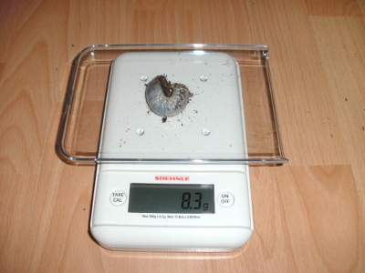 BILD4.JPG