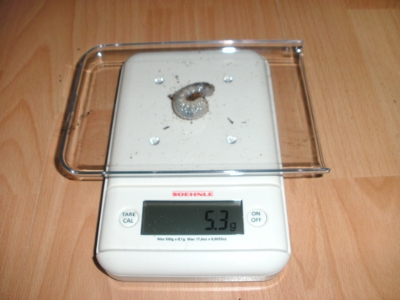 BILD10.JPG